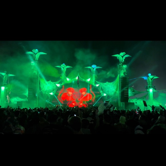 Meet your Posher, Salem 💕✨🥰 - Picture 4 of 10